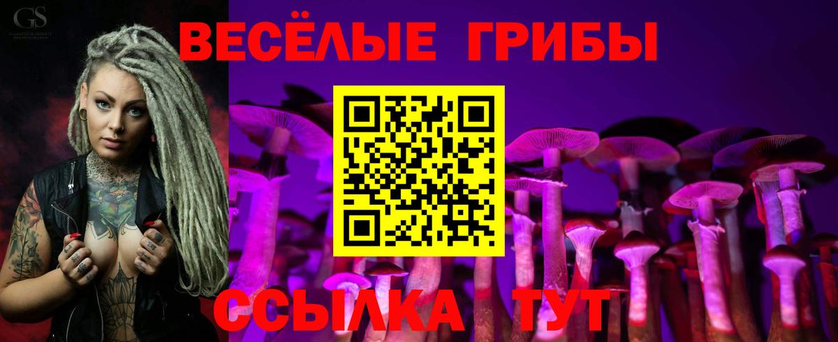 Псилоцибиновые грибы GOLDEN TEACHER Кольчугино