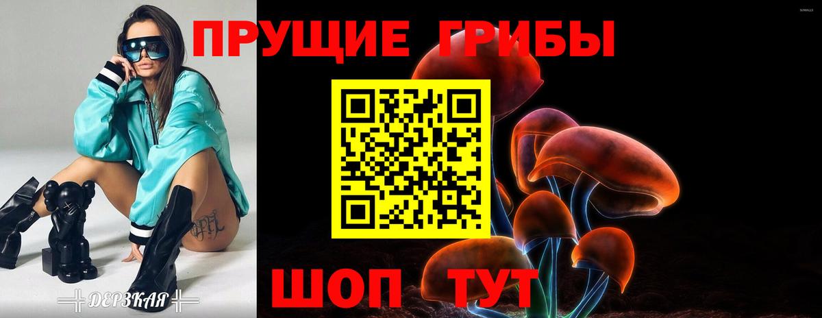 даркнет сайт  Вход с VPN  Кольчугино  Галлюциногенные грибы мицелий 